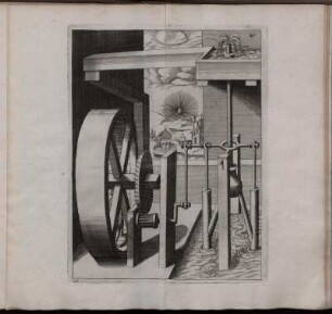 45