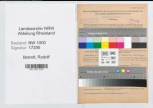 Entnazifizierung Rudolf Brandt, geb. 19.08.1905 (Stadtinspektor)