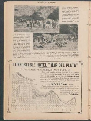 Cacería de guanacos