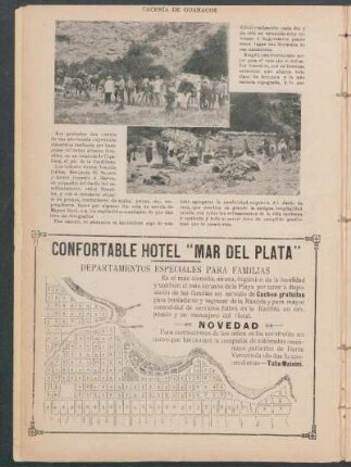Cacería de guanacos