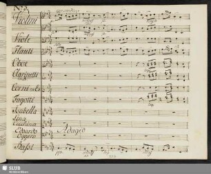 Aria [e Quintetto]: Sposo che fier tormento