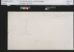 Grubenfeld von Himmelfahrt und Drei Brüder Fundgrube samt Grummetstock Fundgrube und Glücksburg Erbstolln an der ehemaligen Waidgrube bei Gottesberg (Tannenbergsthal)