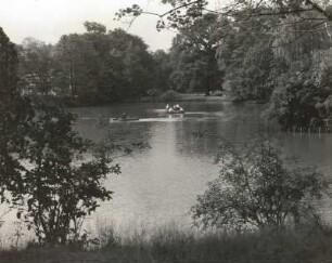 Dresden. Großer Garten. Partie am Carolasee