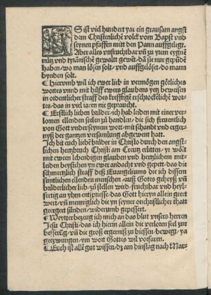 Es ist viel hundert yar ein grausam angst dem Christenlichen volck vom Bapst und seynen pfaffen mitt den Pann auffgelegt ...