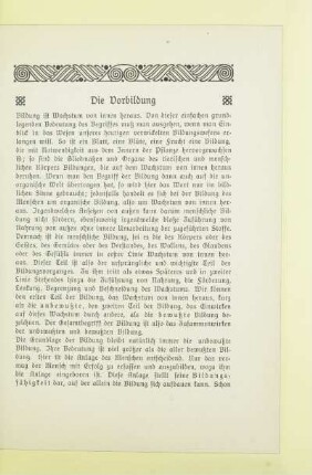 [1.] Die Vorbildung