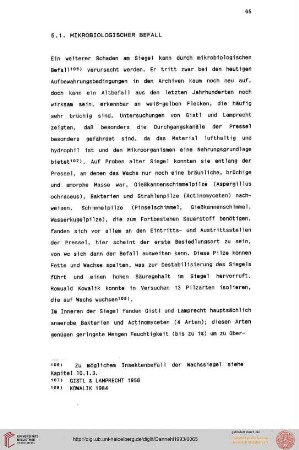 5.1. Mikrobiologischer Befall