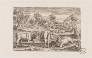 Kühe in Landschaft aus (Animalium Qvaddrupedum)