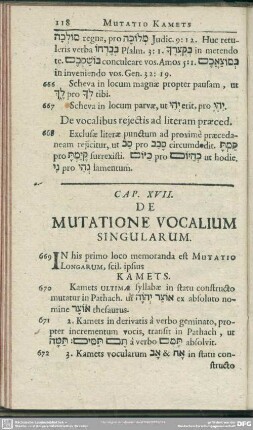 Cap. XVII. De Mutatione Vocalium Singularum
