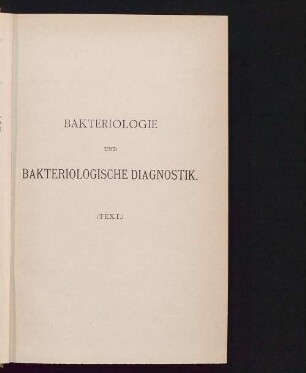 2: Text