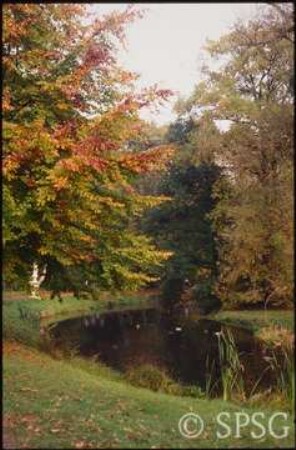 Potsdam, Park Sanssouci, Bullenwiese.