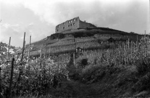 Staufen: Schlossberg mit Ruine