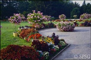 Potsdam, Neuer Garten, Sommerbepflanzung im Parterre Marmorpalais.