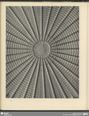 Mathematisches Relief einer runden Kieselalge. 2000:1
