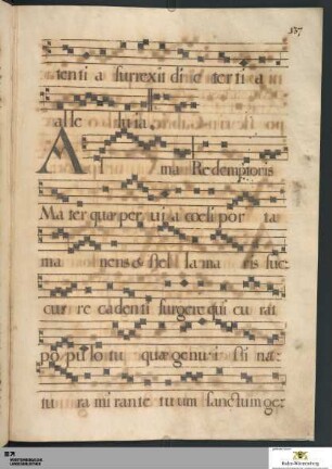 Marianische Schlussantiphonen