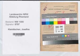 Entnazifizierung Josefine Kleintitschen, geb. 16.01.1912 (Lehrerin)
