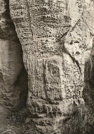 Basteigebiet, Steingitter : Sächsische Schweiz. Basteigebiet. Kroatenschlucht (Nähe Wartturm). Steingitter (Wabenverwitterung)