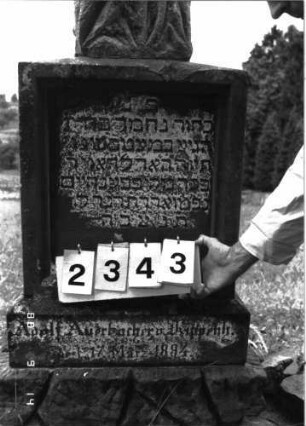 Grabstein 2343 (Index: 100097518) Maße HxBxT: 238x53x29 cm Symbolik: Baumstamm: Grabstein 2343 (Detailaufnahme)