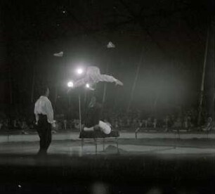 Petoletti-Dresseur - Circus Williams, ohne Ortsangabe, 1959
