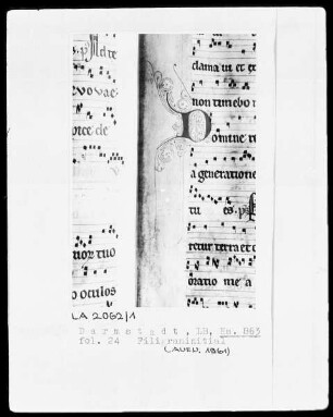 Graduale — Initiale D (omine), Folio 24recto