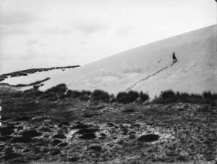Dünenlandschaft : Junge klettert eine Düne hinauf