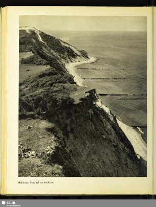 Hiddensee, Blick auf die Steilküste
