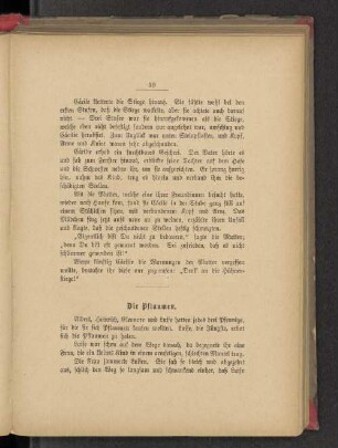 Die Pflaumen.