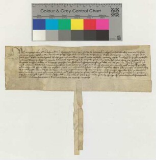 Dem Propste zu St. Johannis Dr. Johannes Barum präsentieren der Presbyter Hinr. Drespe und viele Verwandte für eine Vikarie der Nicolaikapelle zu St. Johannis den Ludolf Netzemann [lat].