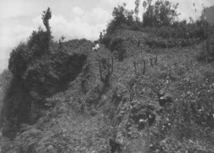 Bei Totontepec Villa de Morelos : Berghang mit Vegetation