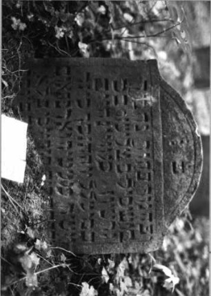 Grabstein 186 (Index: 99803239) Material: Sandstein Zustand: eingesunken Maße HxBxT: 38x56x10 cm Beschreibung: Stele mit Karniesbogen und Inschriftenfeld: Grabstein 186 (Detailaufnahme)