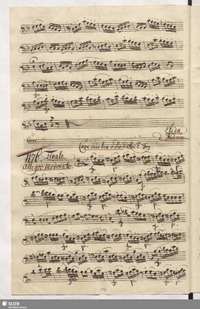 1176. Finale: Cara mio ben o Dio / Naumann, J.G.