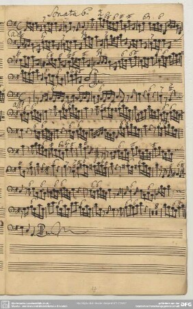 Sonaten, Vl Bc, op. 2,5
