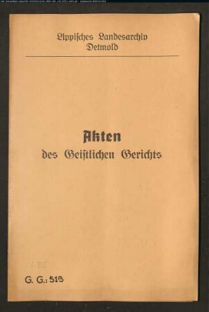 Ilsabein Düllmann aus Lothe gegen Johann Henrich Schlüter aus Brakelsiek, wegen einer Eheklage