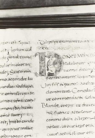 Egino-Codex, Seromonos des Rather von Verona, Initiale D Blattwerk und Vogel mit Schlange