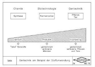 Gentechnik am Beispiel der Stoffumwandlung