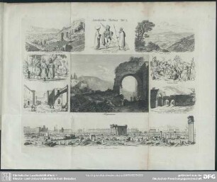 Asiatische Türkey Taf. I