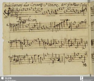 [Cesare, Giovanni Martino:] Benedicite Domino