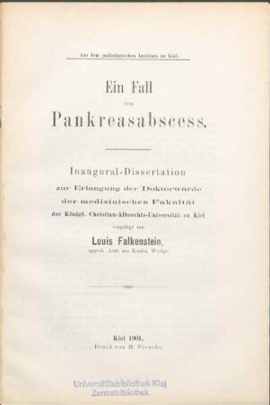 Ein Fall von Pankreasabscess