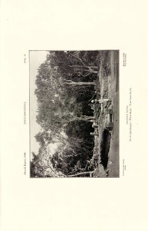 Plate D. Anurádhapura. Toluvila ruins. North quadrangle: Wata-dá-gé. View from south.
