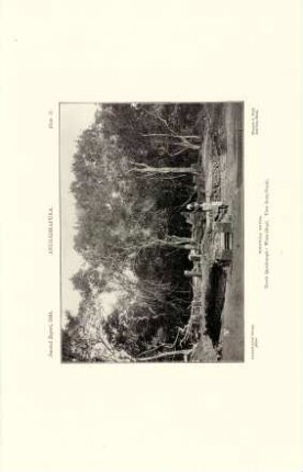 Plate D. Anurádhapura. Toluvila ruins. North quadrangle: Wata-dá-gé. View from south.