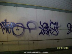 MiOR PoNS*