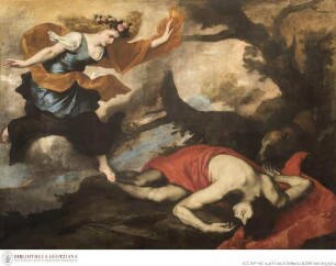 Venus entdeckt den toten Adonis