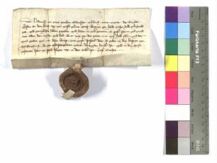 Wiederbegnadigungs- und Schirmbrief von König Ludwig der Bayer für Graf Alram von Hals.