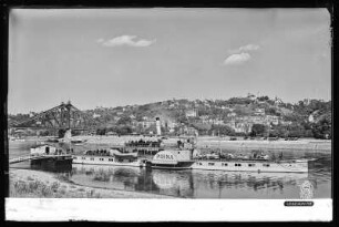 Dresden-Loschwitz, Elbufer mit Loschwitzer Brücke und dem Elbdampfer Pirna