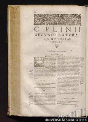 C. Plinij Secvndi Natvralis Historiae Liber XV. [XVI]