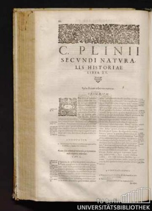 C. Plinij Secvndi Natvralis Historiae Liber XV. [XVI]