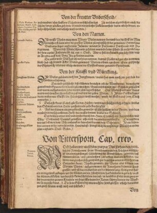 Von Rittersporn, Cap. CXCV