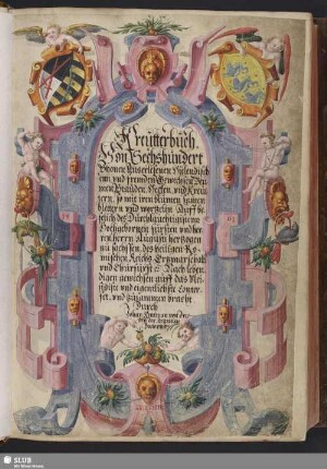 Kreutterbuch. Von sechshundert schonen auserlesenen hielendischenn, vnd fremden Gewechsen, Beumen, Stauden, Hecken, vnd Kreuttern, so mit iren blumen samen blettern vnd wortzelen auff befelich Augusti hertzogen tzu sachssen, Churfurst, auff das vleisigiste, vnd eigentlichste conterfet vnd tzusammen bracht - Mscr.Dresd.B.71