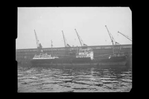 Flora ex Medea - 54 (1936), Visurgis Schiffahrtsges (D.G. Neptun)