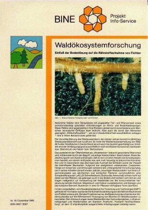 Waldökosystemforschung. Einfluß der Bodenlösung auf die Nährstoffaufnahme von Fichten.
