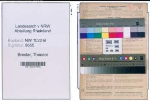Entnazifizierung Theodor Brester , geb. 12.09.1890 (Kaufmann)